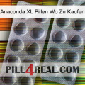 Anaconda Xl Pills Where To Buy 31